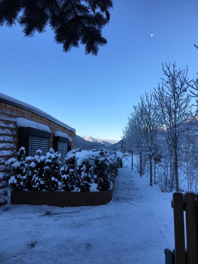 Chalets Dolomit Royal 锡利安 外观 照片